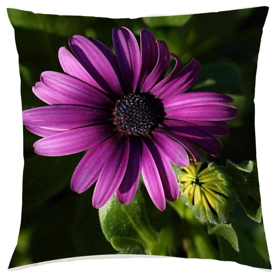 Purple Flower Cushion Cushions