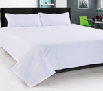 Plain White Hotel Sheets with 2 Pillow Covers