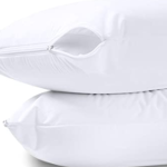 White Filled Cushions