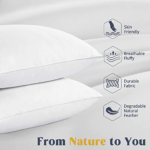 White Filled Pillows (5)
