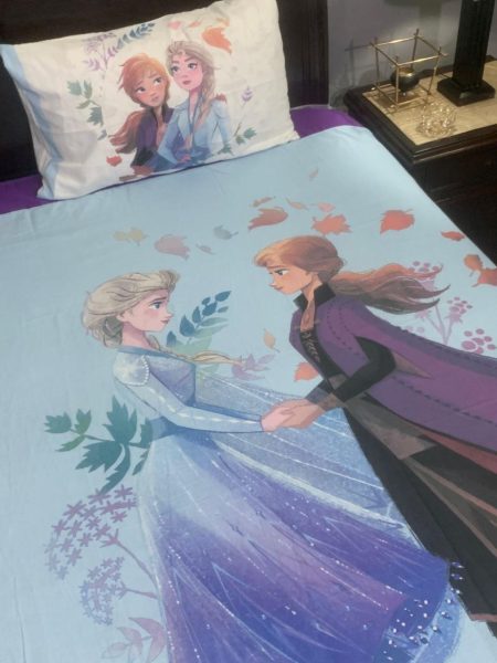 Frozen Character kids Bed Sheet