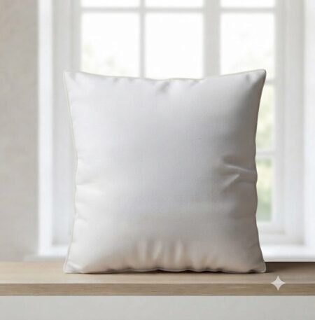 Filled Cushions-1 PCs