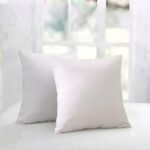 Filled Cushions-2 PCs